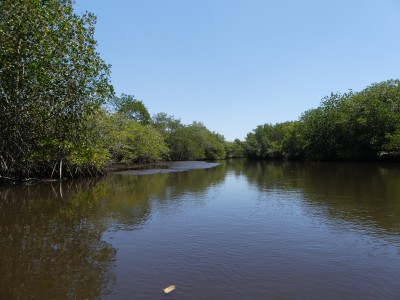 P1320146