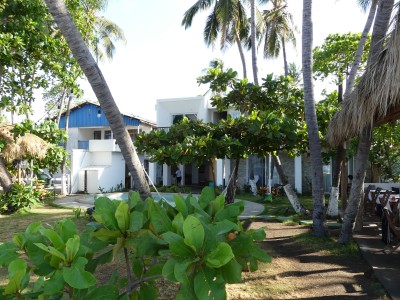 P1320388