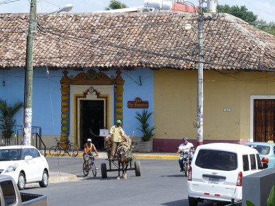 León