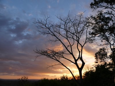 P1320752
