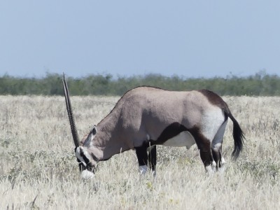 P1330238