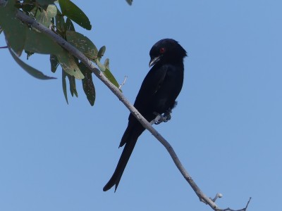 P1330424