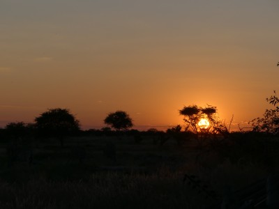 P1330909