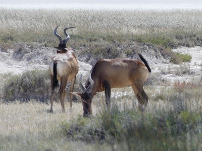 P1340507