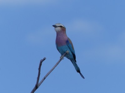 P1340594