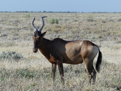 P1340938
