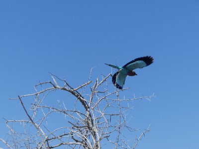 P1350213