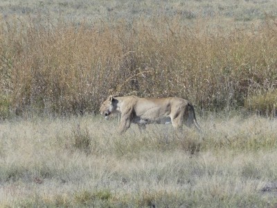 P1350248