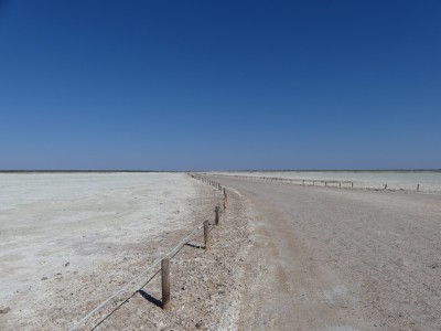 P1350277