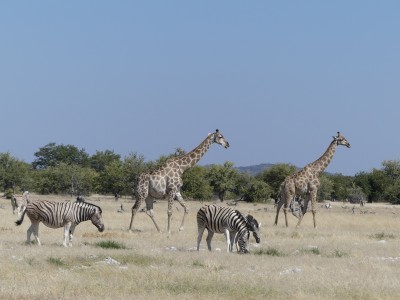 P1350745