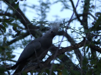 P1350939
