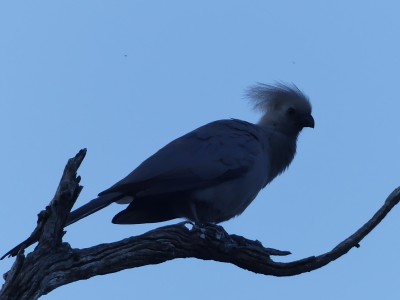 P1360002