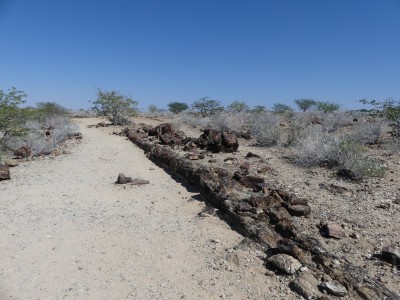 Forêt pétrifiée. Khorixas, Damaraland