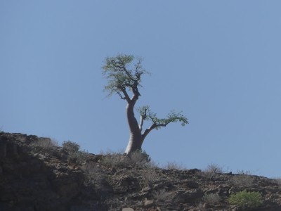 P1360300