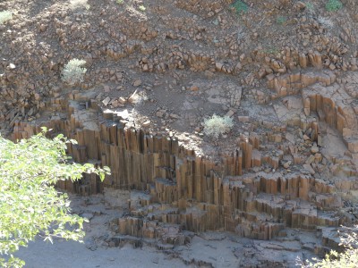 Organ Pipes