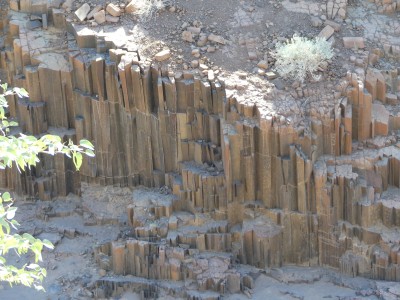 Organ Pipes