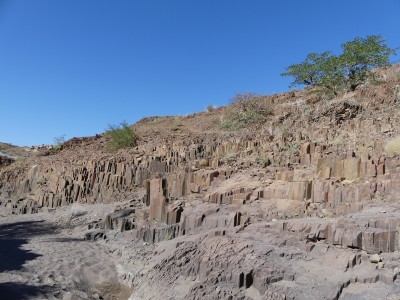 Organ Pipes