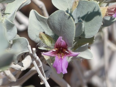 P1360540