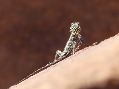 P1360635