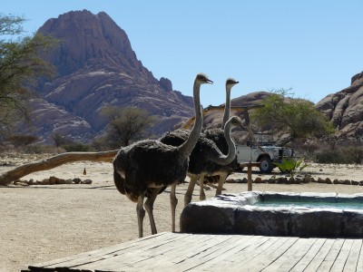 Spitzkoppe