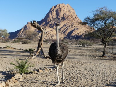 Spitzkoppe