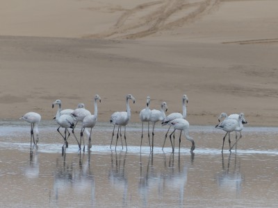 P1370368