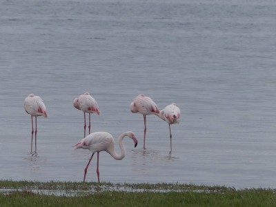 P1370373