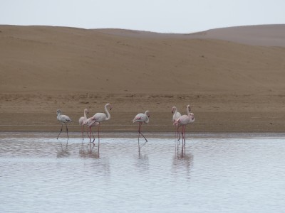 P1370402