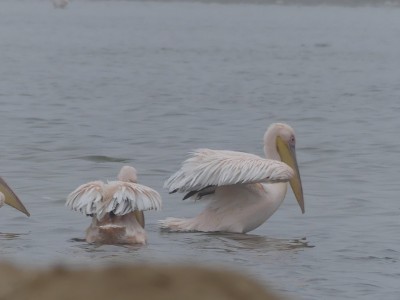 P1370454
