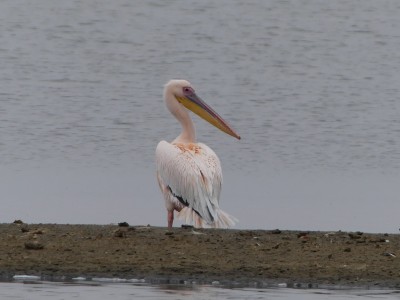 P1370613