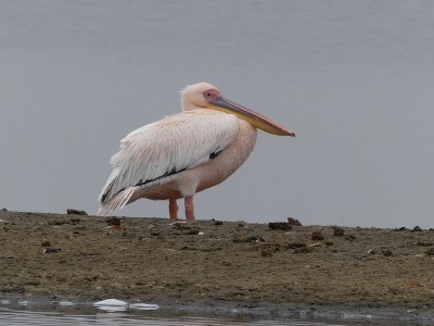 P1370639