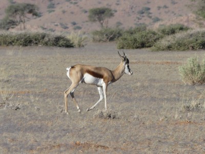 P1370907