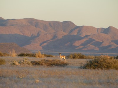 P1370934