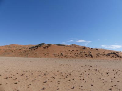 P1380097