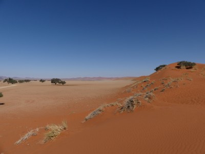 P1380123