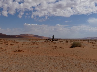 P1380225