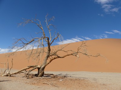 La vallée de la mort - Sossusvlei