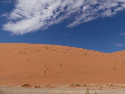 P1380239