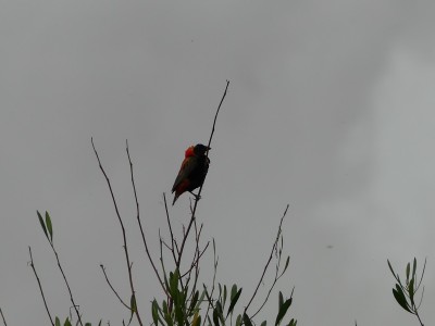 P1380563