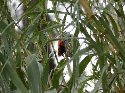 P1380579