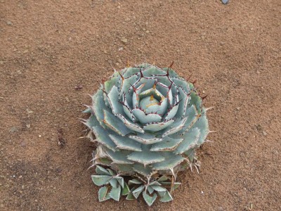 P1380792
