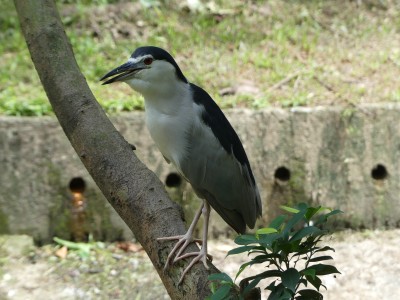P1390848