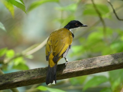 P1390887