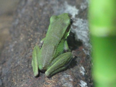 P1400243