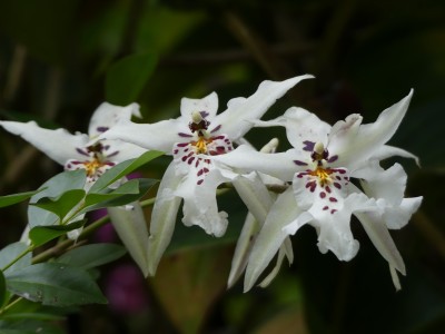 P1400920