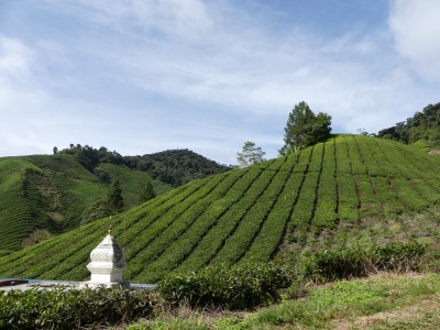 P1400957