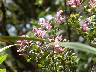 P1410006