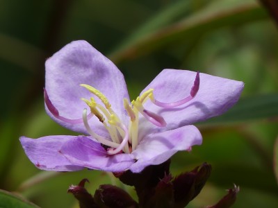 P1410047
