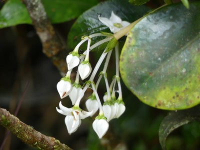 P1410074