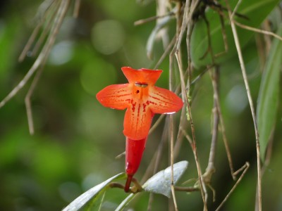 P1410112